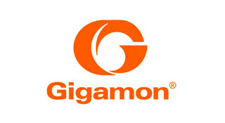 gigamon